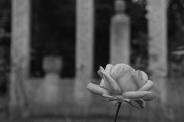 Susanne H - Ohlsdorfer Friedhof S/W - 12.10.2025 - OT