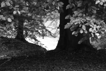 Peter Weise - Ohlsdorfer Friedhof S/W - 12.10.2025 - Romantischer Durchblick