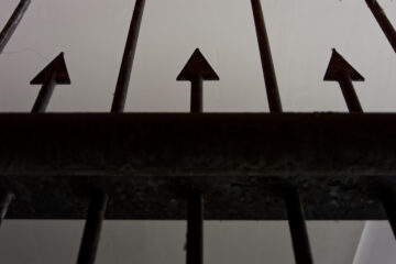 Matthias - Challenge 144: 24.11 - 07.12.2025 - Von Neptun