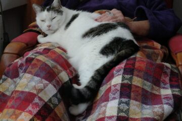 Bernd Mattern - Challenge 146: 24.11 - 07.12.2025 - Beide ganz entspannt