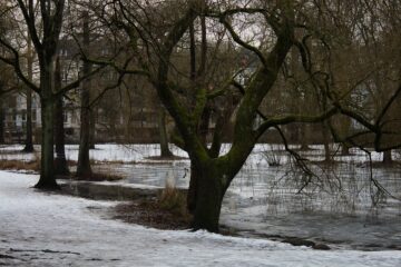 Bodo Jarren - Eppendorf - 16.17.2026 - Das war zu glatt