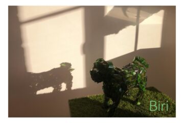 Biri - Glasmuseum -20.01.2026 - OT