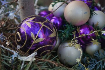 Bodo Jarren - Eppendorf - 16.17.2026 - Letzter Schmuck