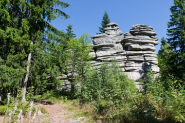 Matthias - Challenge 146: 24.11 - 07.12.2025 - Wald