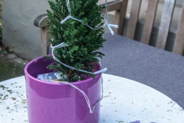 Peter Schultz - Eppendorf - 16.17.2026 - OT