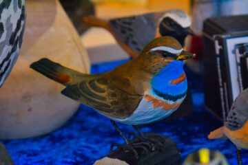 Bodo Jarren - Weihnachtsmarkt - 16.12.2025 - Blaumeise