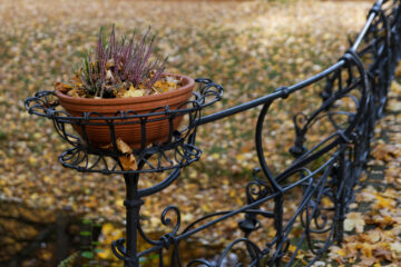 Matthias - Challenge 148: 19.01 - 01.02.2026 - Blumentopfgeländer