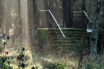 Antje Kakuschke - Challenge 148: 19.01 - 01.02.2026 - Geländer im Wald
