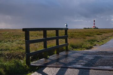 Brigitte - Challenge 148: 19.01 - 01.02.2026 - Möwengeländer