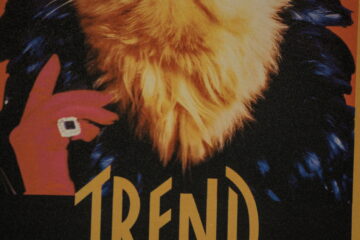 Bernd Mattern - MARKK - 23.01.2025 - cool cat