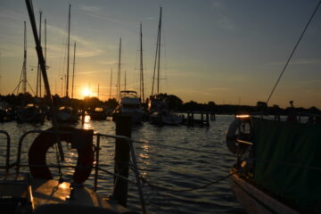 Von Ekhard Traupel-Maaß