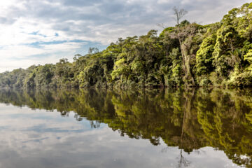 Galerie Henry Büttner