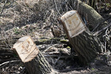 Wolfgang Scheffler - Challenge 150: 16.02 - 01.03.2026 - OT