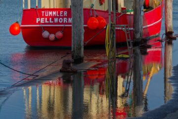 Bodo Jarren - Challenge 149: 02.02 - 15.02.2026 - Pellworm