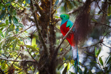 Galerie Henry Büttner
