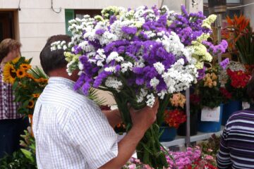 Peter Weise - Challenge 150: 16.02 - 01.03.2026 - Schnittblumen