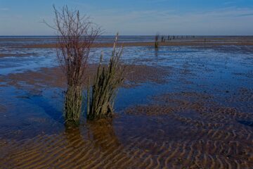 Brigitte - Challenge 149: 02.02 - 15.02.2026 - Pricken
