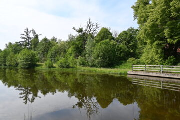 Petra Scheffler - Challenge 151: 02.03 - 15.05.2026 - In Lopau