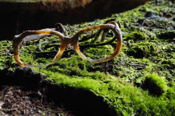 Antje Kakuschke - Challenge 152: Kaputt - 02.03 - 15.05.2026 - Kaputt 1