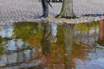 Bodo Jarren - Challenge 151: 02.03 - 15.05.2026 - Hochwasserspiegelung