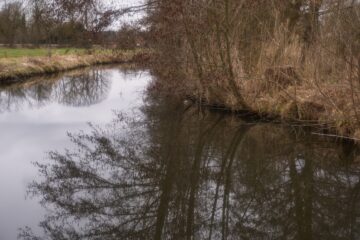 Brigitte - Challenge 151: 02.03 - 15.05.2026 - Wasserspiegelung