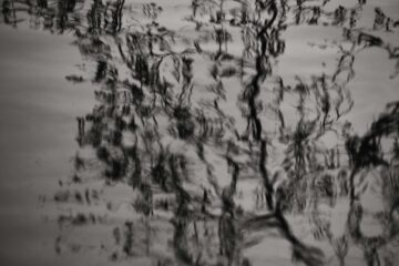 Brigitte - Challenge 151: 02.03 - 15.05.2026 -Immer in Bewegung