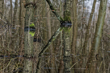 Matthias - Challenge 151: 02.03 - 15.05.2026 - Und wo ist oben
