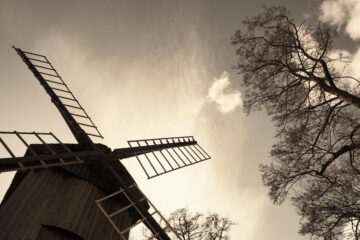 Brigitte - Stade - 05.04.2026 - Bockwindmühle