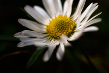 Brigitte - Challenge 153: Frühling - 30.03 - 12.04.2026 - Lenztime