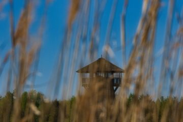 Brigitte - Challenge 155 - 27.04. - 10.05.2026 - Neugierig zum Turm schauen