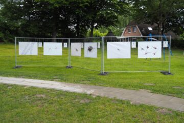 Antje Kakuschke - Vom Teich ins Labor - 17.07.2026 - Ausstellung Farmsen