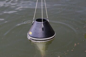 Bodo Jarren - Vom Teich ins Labor - 17.07.2026 - Ab ins Wasser
