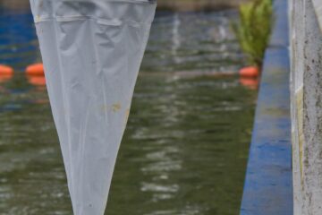 Bodo Jarren - Vom Teich ins Labor - 17.07.2026 - Planktonnetz im Einsatz
