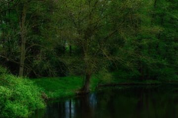 Brigitte - Challenge 157: Grün - 25.05 - 07.06.2026 - Grün am Teich